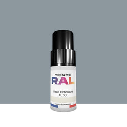 Stylo de retouche RAL 7001 - Gris argent brillant 12ml